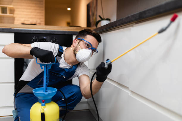 Best Pest Prevention Services  in Seminole Manor, FL
