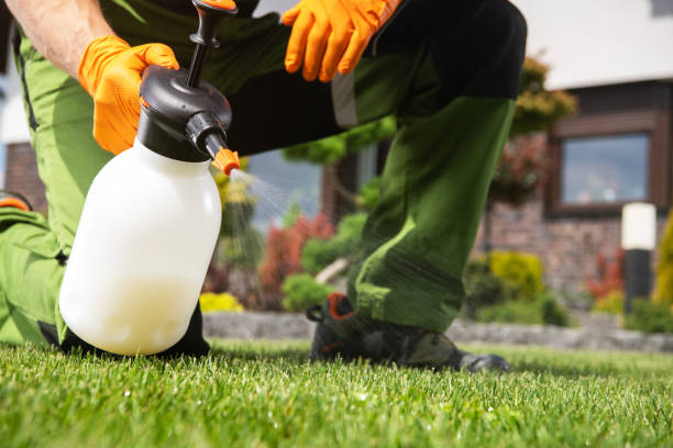 Best Affordable Pest Control Services  in Seminole Manor, FL